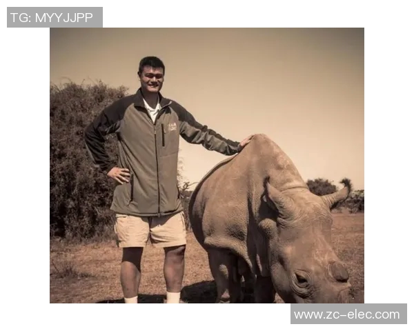 姚明与奥尼尔对决谁能胜出一场篮球巨星的巅峰对抗赛