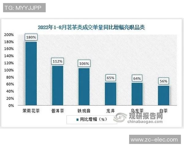 成都排球队技术分析与战术创新的深度探讨与展望MBA