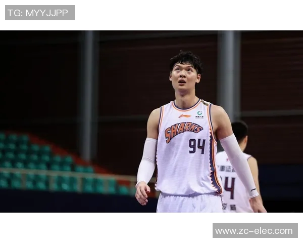 王哲林:从篮球新星到国家队核心的成长之路与未来展望 王哲林:从篮球新星到国家队核心的成长之路与未来展望