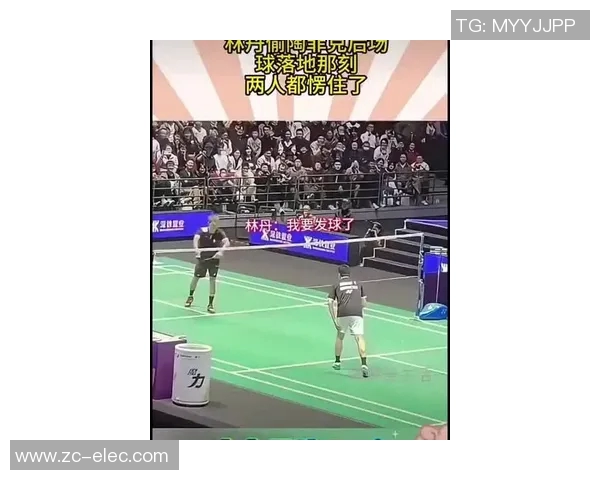 羽毛球传奇对决林丹与陶菲克的巅峰对抗与辉煌瞬间回顾